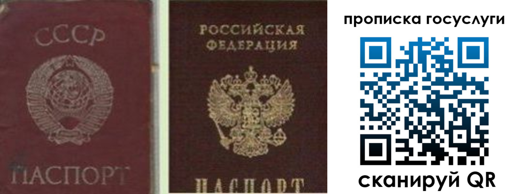 временная регистрация 2025 в Волхове